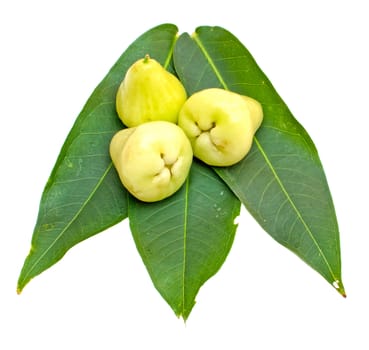 Rose apples or green chomphu on white background