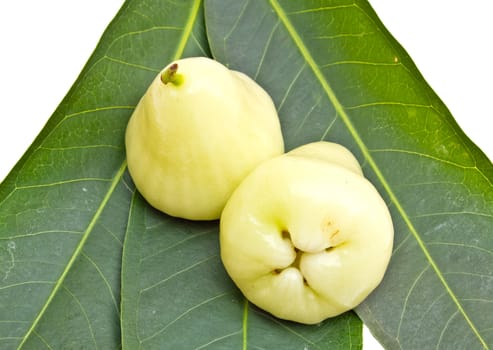 Rose apples or green chomphu on white background