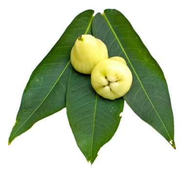 Rose apples or green chomphu on white background