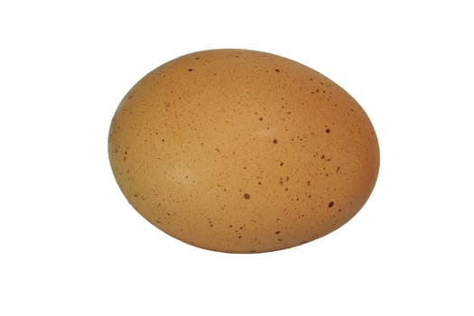 close up of egg on white background