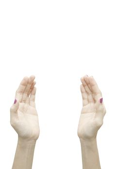 Two woman hands reaching on white background.