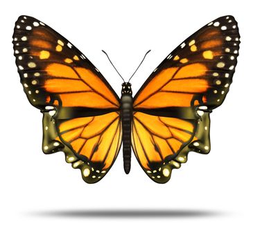 Free your mind and freedom to explore the opportunities of life  and personal achievement as a Monarch butterfly in the shape of a human head showing the power intelligence as a brain health care icon.