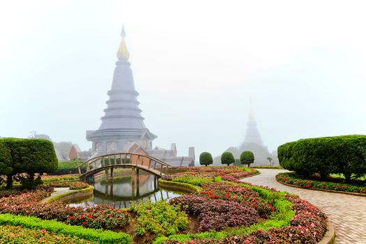 flower garden and stupa in the morning mist, chiang mai, thailand