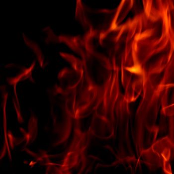fire flame close up on black background