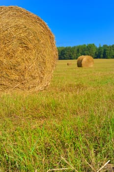 after harvesting in the field hay braided in boulders