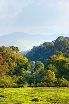 Valley between high mountains in southern India