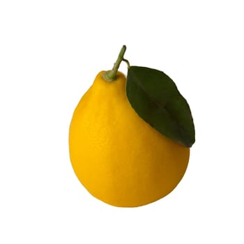lemon with the stem and leaf on white background