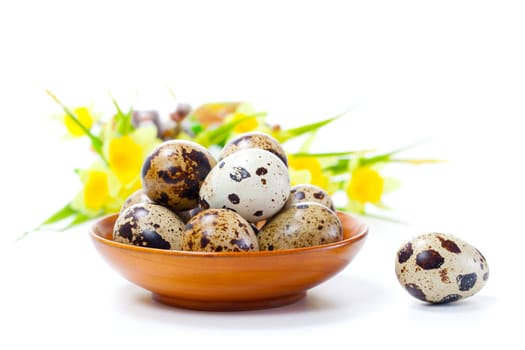 Quail eggs in bowl, isolated on white background.