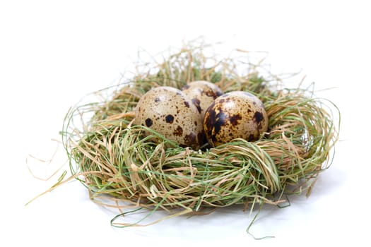 Quail eggs in nest, isolated on white background.