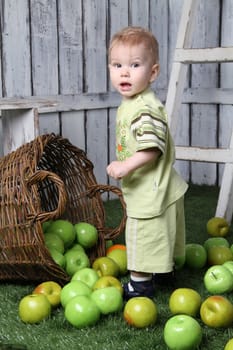 Looking back child about the fallen basket with apples







The child is around the basket with apples