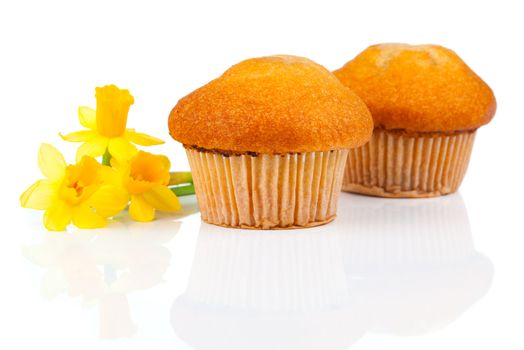 muffins, isolated on white background