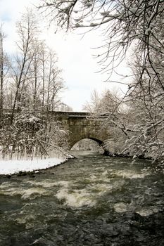 trees forest snow in winter landscape background