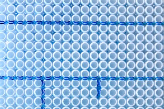 Tools for PCR amplification of DNA: 384-well plate