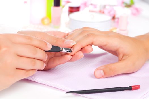 Manicure. Care of fingers of hands, cleaning, covering a varnish of nails.