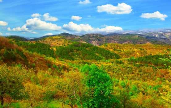 Photo of the Istrian part of the landscape. Adriatic coast. croatia