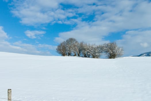 beautiful sunny landscape in winter with blue sky and snow