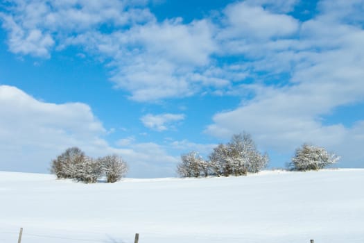 beautiful sunny landscape in winter with blue sky and snow