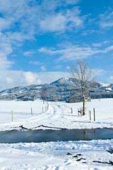 beautiful sunny landscape in winter with blue sky and snow
