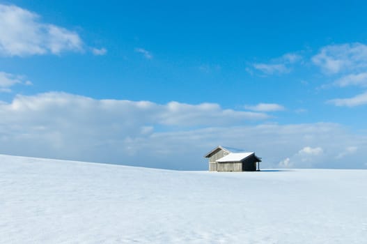 beautiful sunny landscape in winter with blue sky and snow