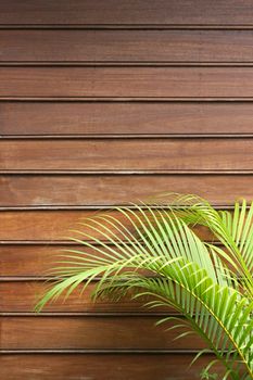 Natural wooden frontface with fresh green palm leaves in the foreground. Space for additional text in the upper half. Vertical perspective.