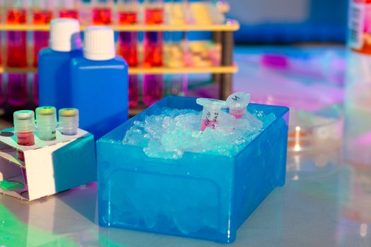 reaction plastic tube in a box full of ice