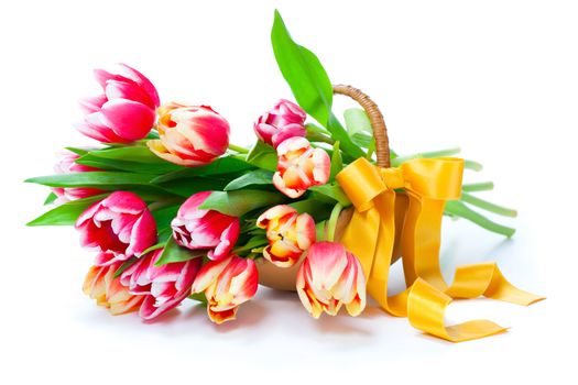 Bunch of red-yellow tulips in a basket on white background,
