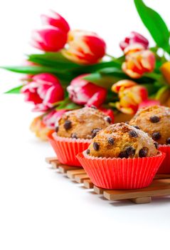 Muffins with tulips isolated on white background