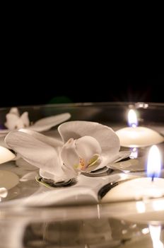 White orchid flower with candles floating on the water. Black background.