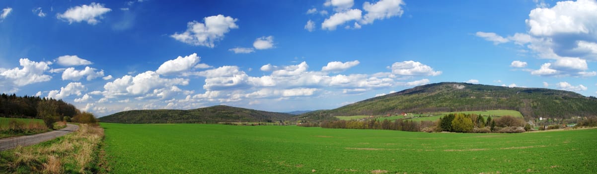 Wide panoramic view of a beautiful green spring field 