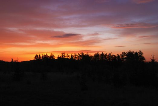 Silhouette of forest and beautiful colorful sunset          