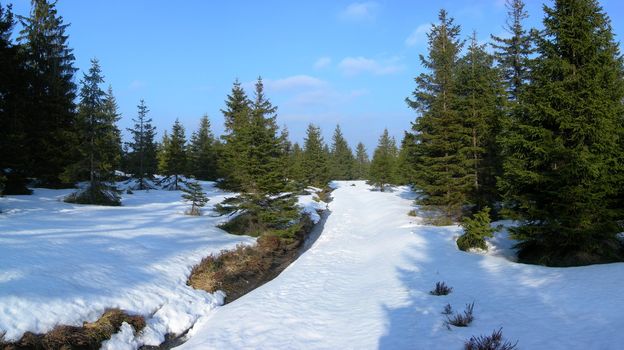 Beautiful winter landscape with trees covered by snow and frost