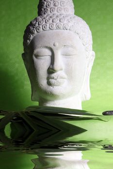 Head of a white yoga statue on green background, with water reflection