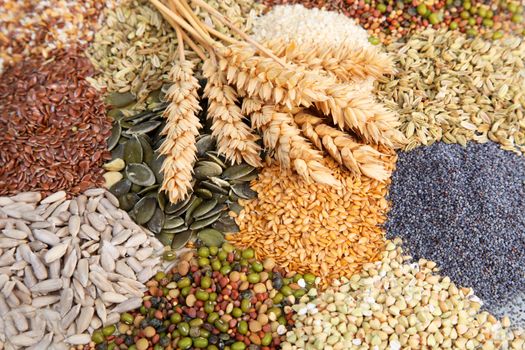 Assorted edible seeds with ripe ears of wheat including whole and dehusked sunflower, sesame, poppy, linseed, pulses and legumes