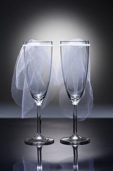 Champagne glasses with conceptual same sex decoration Lesbian