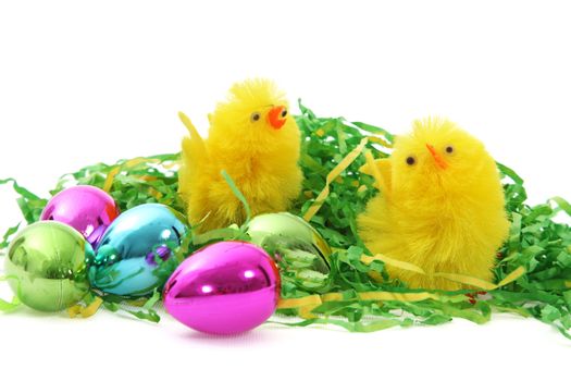 Two cute fluffy little yellow Easter chicks on straw with colourful shiny metallic Easter eggs over a white background with copyspace for your seasonal message