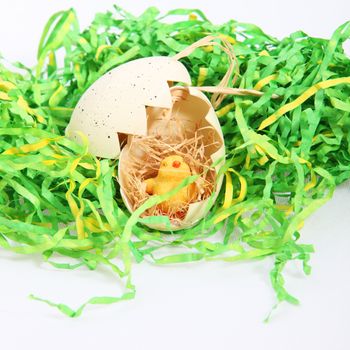 Cute little Easter chicken nestling on straw inside a broken eggshell, symbolic of new beginnings