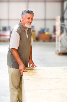 Man buying construction wood in a  DIY store