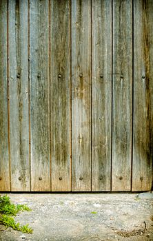Old wooden door background with pavement and plant