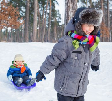 Children on sleds in snow forest. Vertical view.