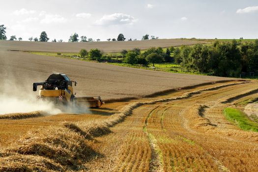Yellov combine on field harvesting wheat in sunny weather
