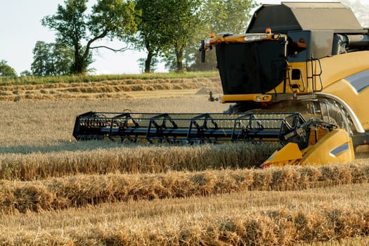 Yellov combine on field harvesting wheat in sunny weather