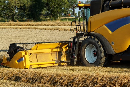 Yellov combine on field harvesting wheat in sunny weather