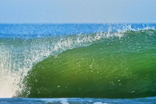 Green wave of the Ocean. Aquatic twist