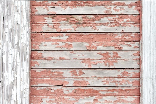 the background of weathered white painted wood