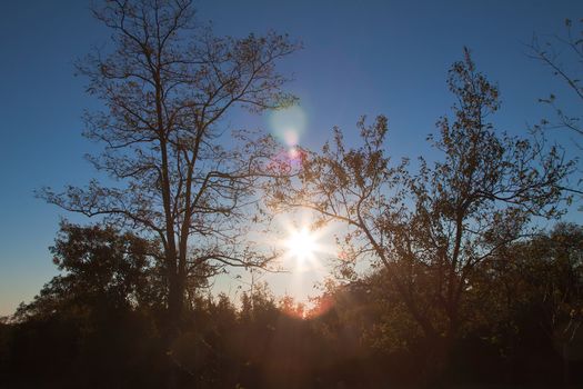 sunset in autumn afternoon