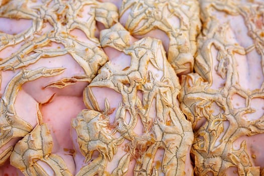 Close up of the warty skin of a pink and tan Peanut Pumpkin