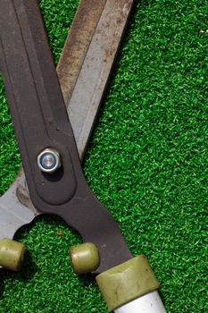 Scissors cut the grass