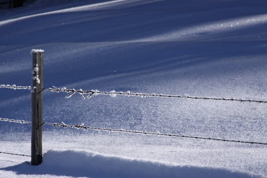 Barbed Wire fence coated in Hoar Frost