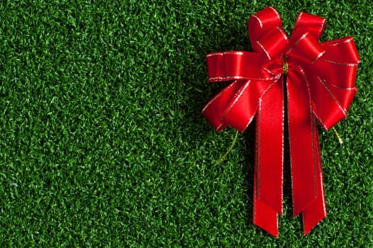 Red Bow on green grass background