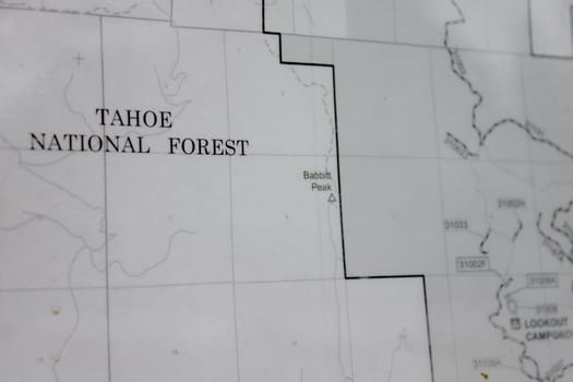 Black and white forest maps of the sierra nevadas